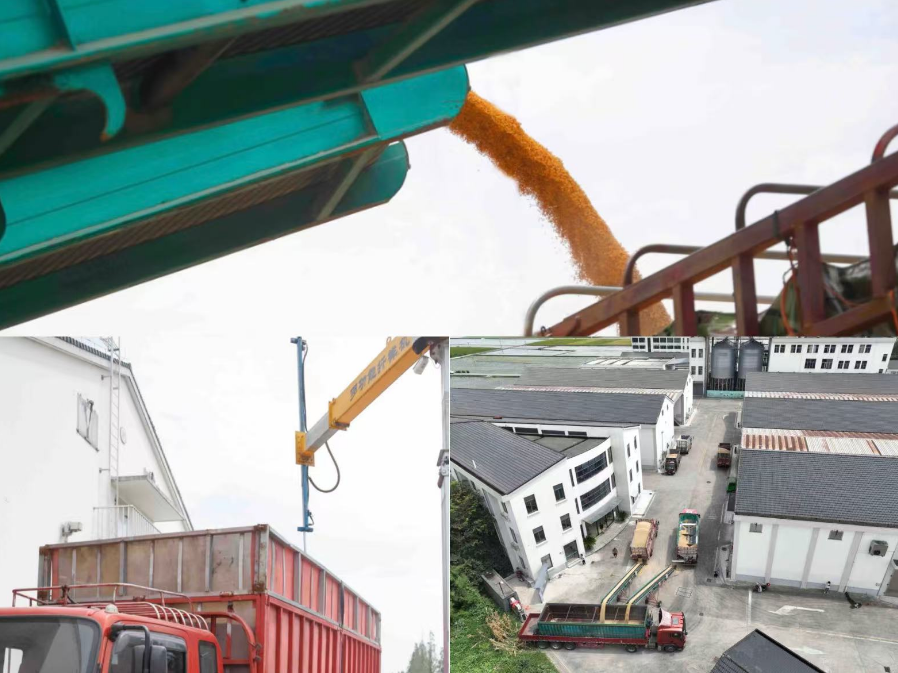 3a884d1644238c42987fbca1da8fb94.png 3a884d1644238c42987fbca1da8fb94.png